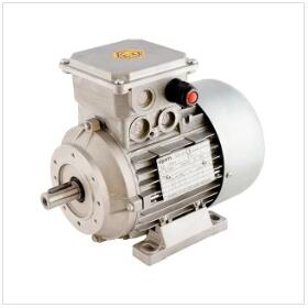 ATEX IECEx防爆电机